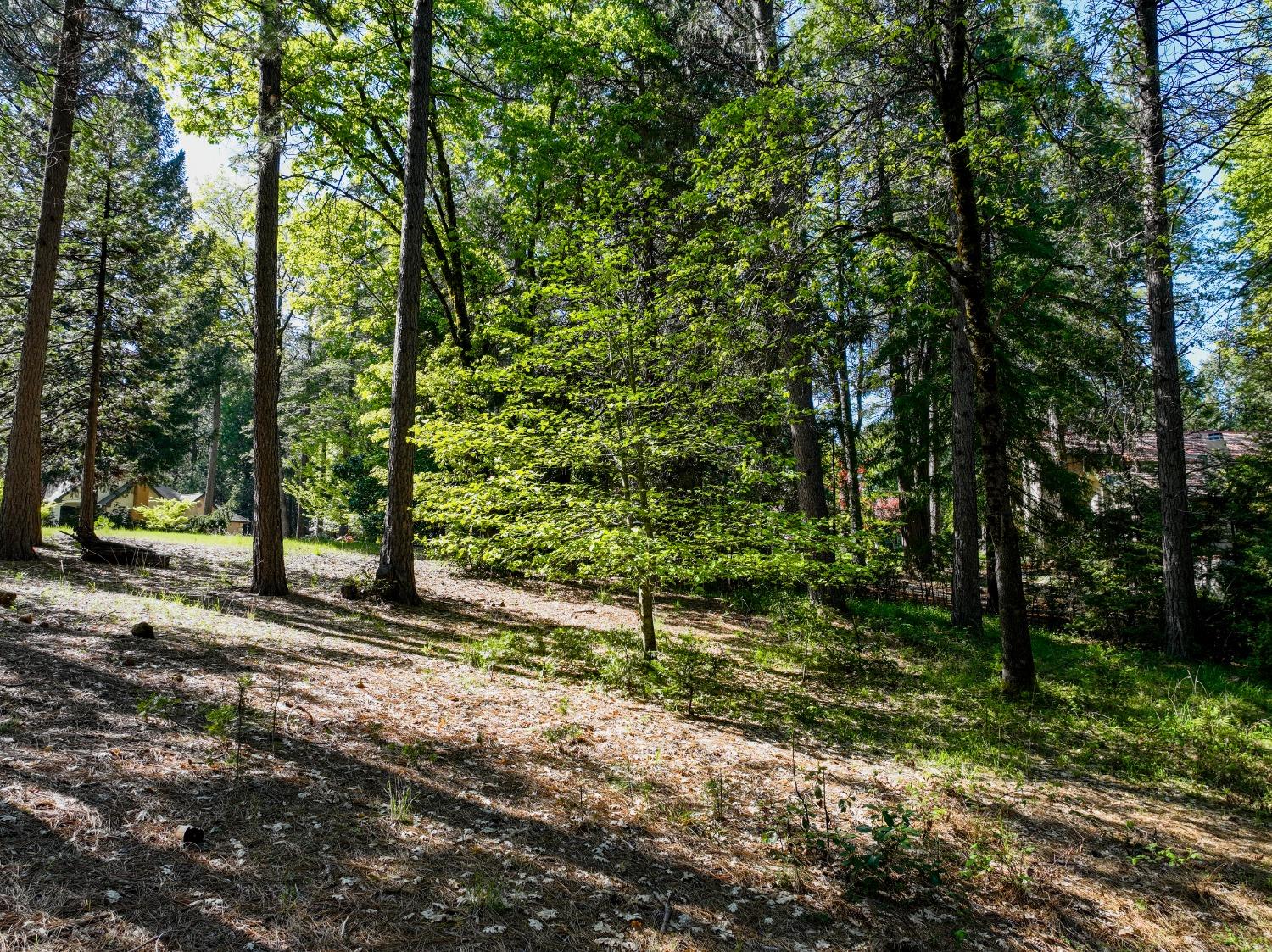 Shady Lane Drive, Morgan Hill, California image 15