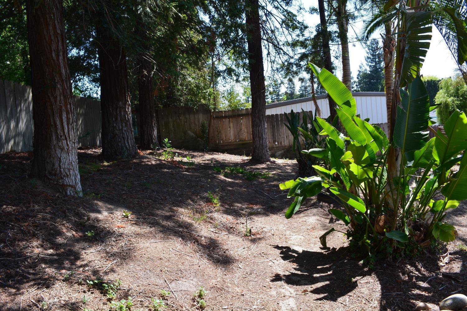 Detail Gallery Image 30 of 74 For 13521 Yosemite Blvd, Waterford,  CA 95386 - 3 Beds | 2 Baths