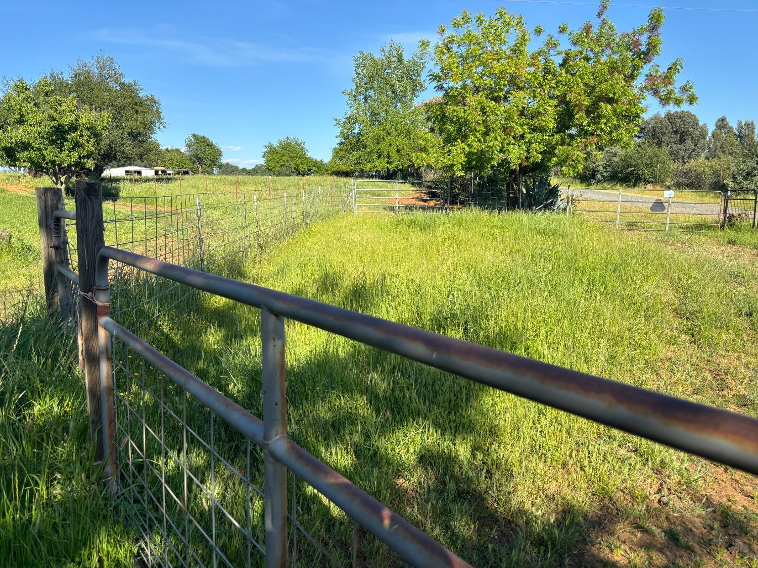 Montana Avenue, Oroville, California image 12