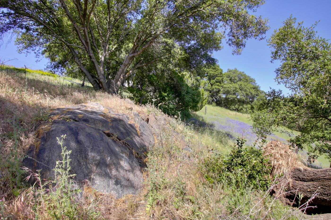 Detail Gallery Image 58 of 98 For 8535 Irish Ln, Newcastle,  CA 95658 - 4 Beds | 3 Baths