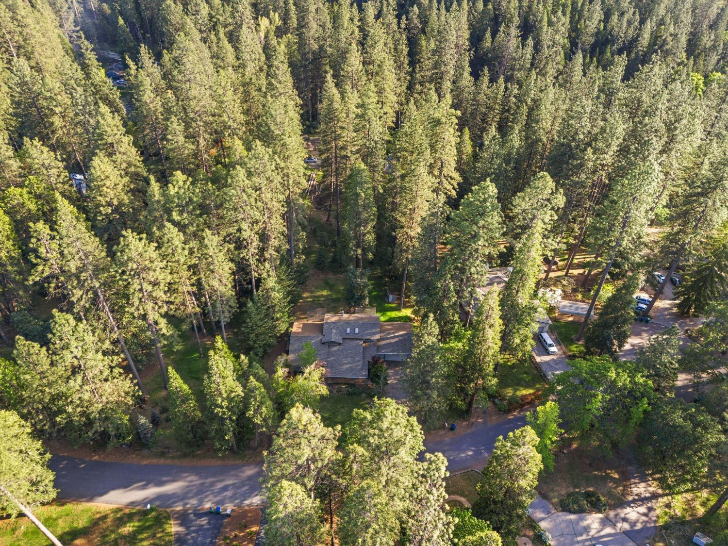 Terrace Pines Court, Grass Valley, California image 34