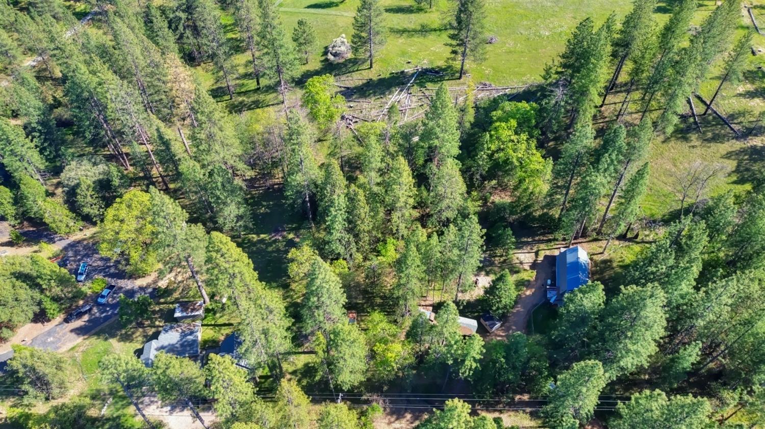 Grizzly Flat Road, Somerset, California image 17