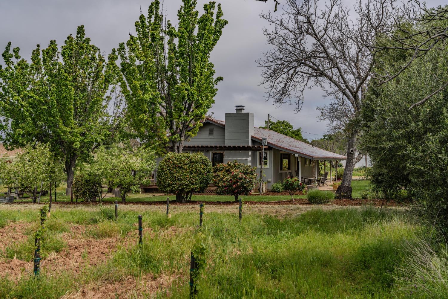 Shenandoah Road, Plymouth, California image 40