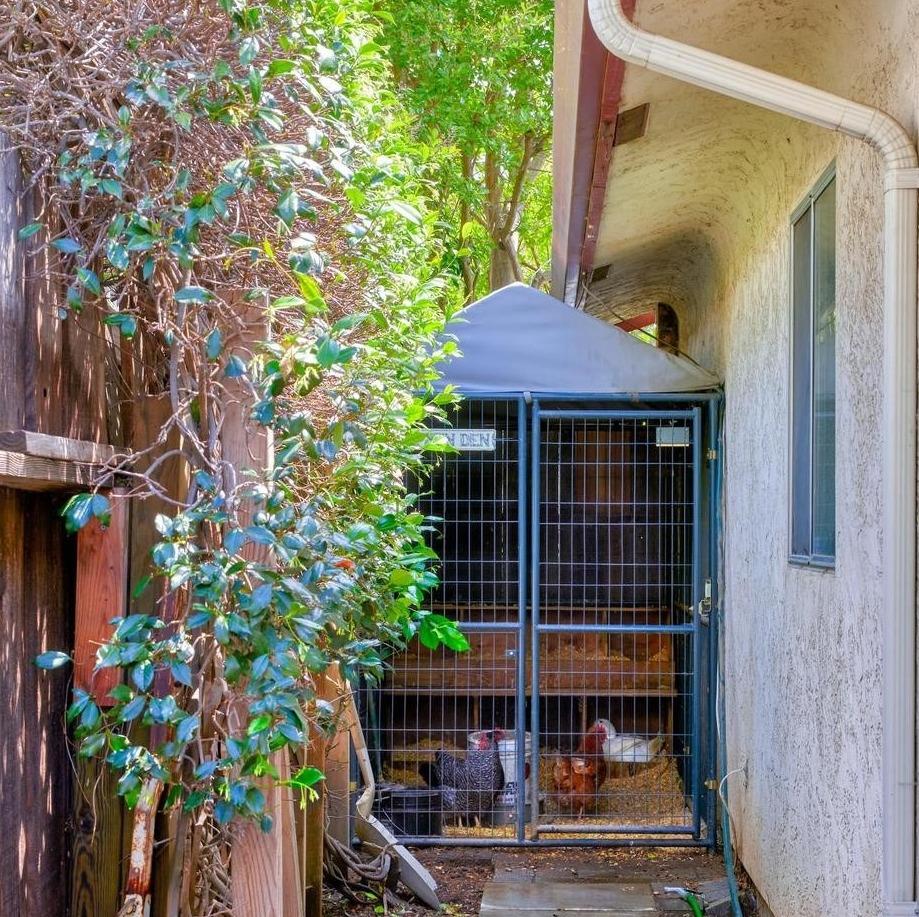 Eagle Lane, Manteca, California image 38
