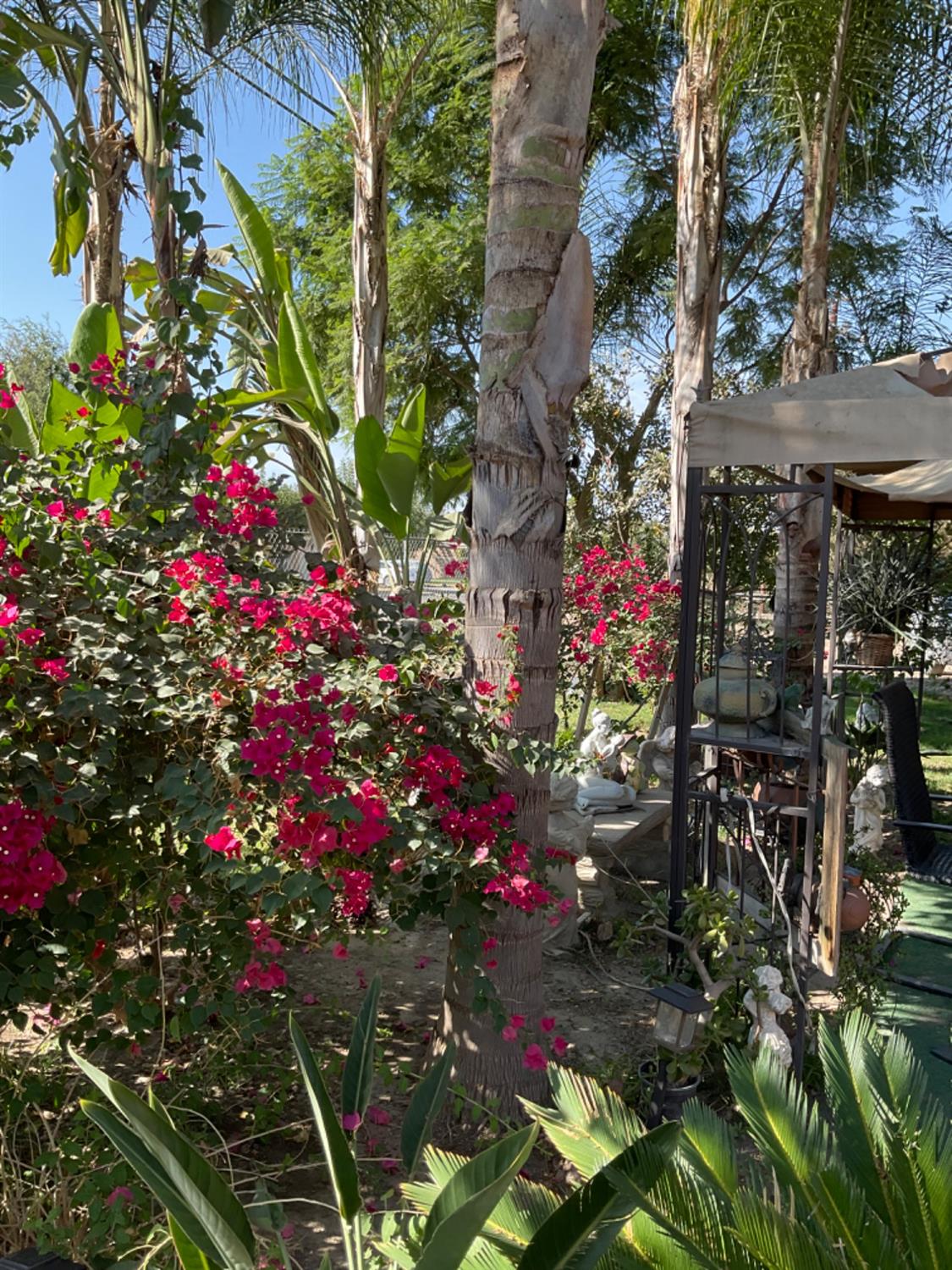 Detail Gallery Image 26 of 38 For 30500 Road 72 a,  Visalia,  CA 93291 - 2 Beds | 1 Baths