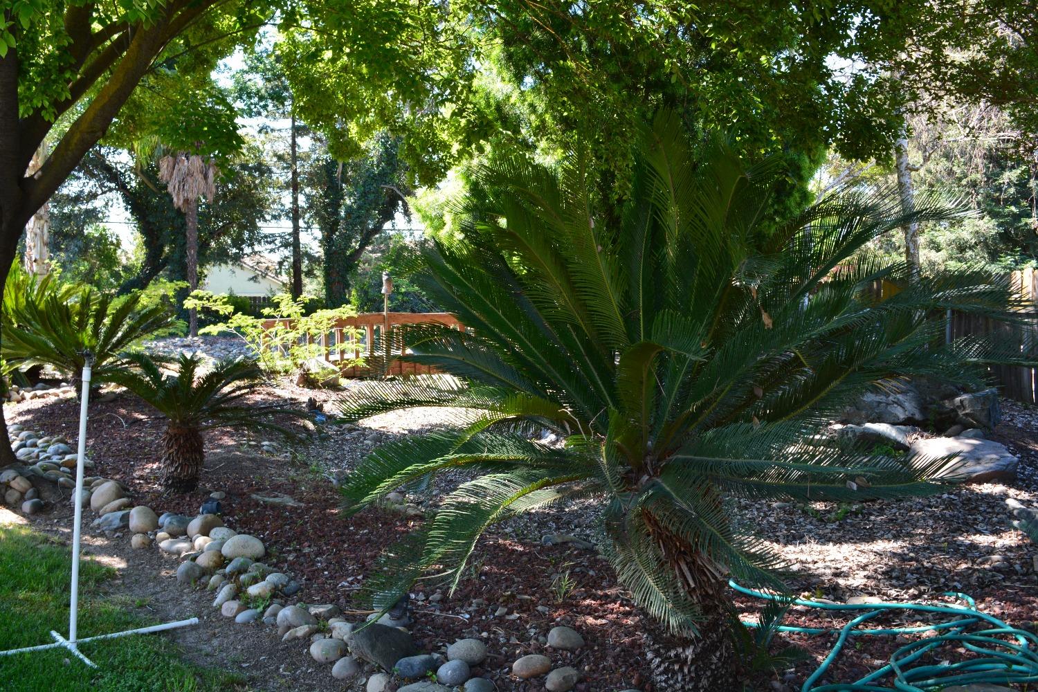 Detail Gallery Image 10 of 74 For 13521 Yosemite Blvd, Waterford,  CA 95386 - 3 Beds | 2 Baths