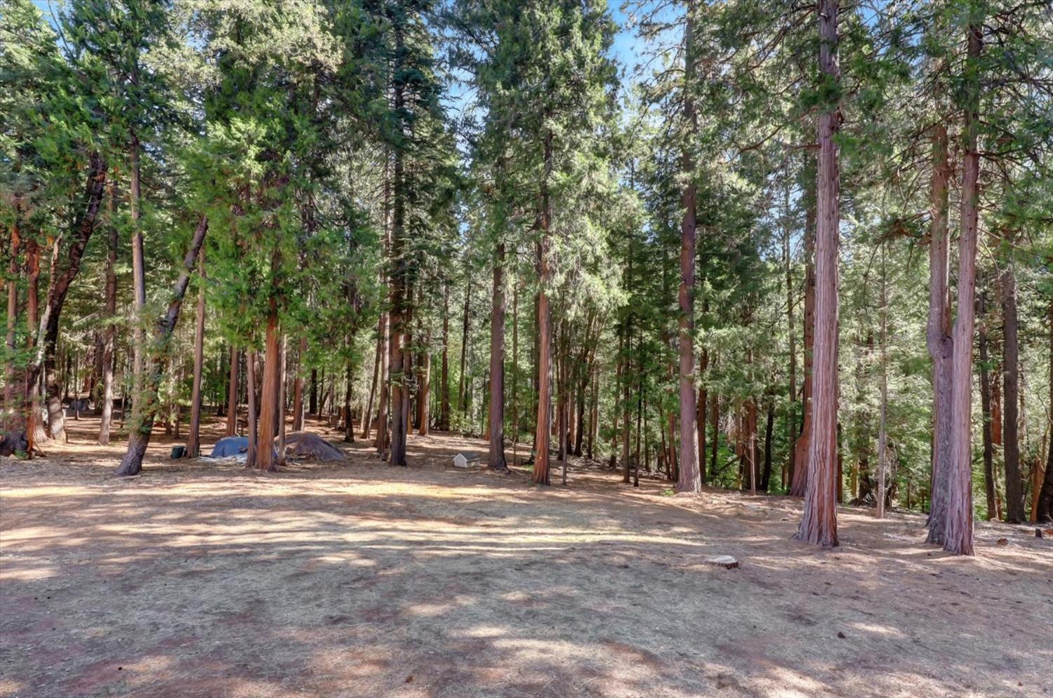 Detail Gallery Image 74 of 89 For 11555 Sky Pines Ridge Rd, Nevada City,  CA 95959 - 3 Beds | 2/2 Baths