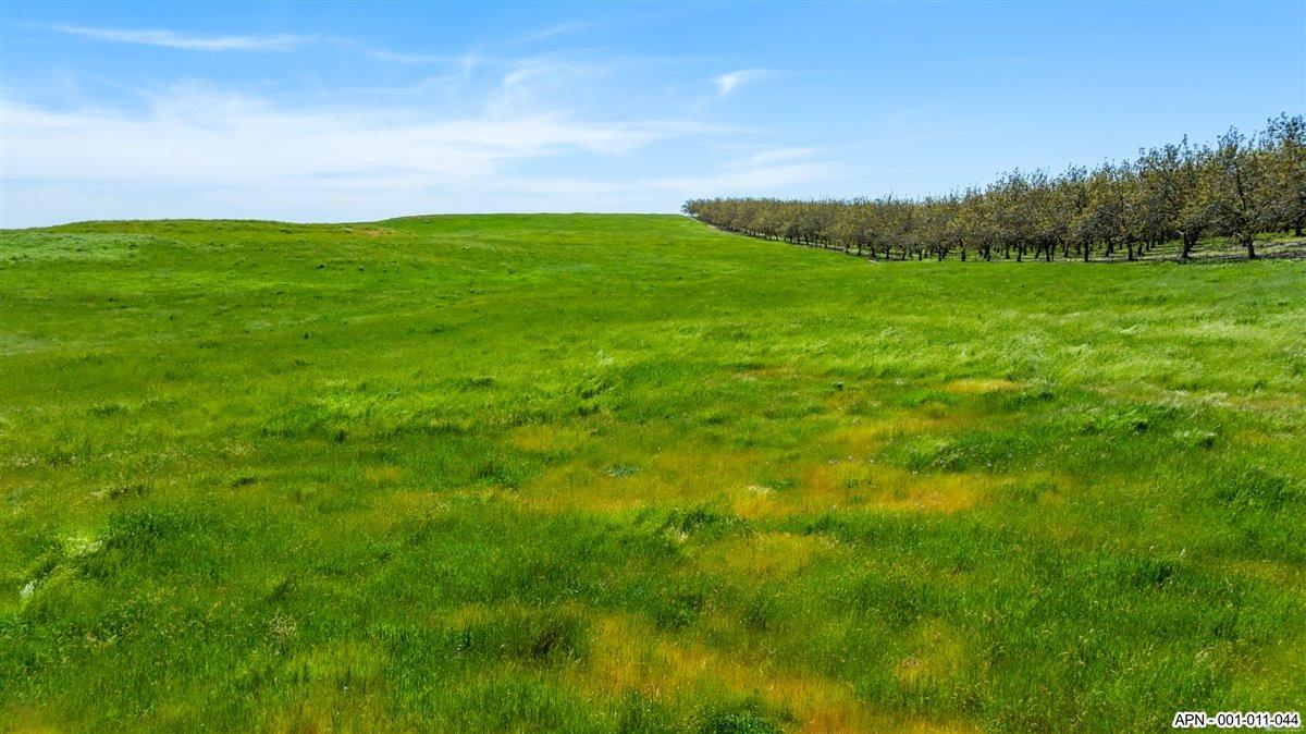 26 Mile Road, Oakdale, California image 13
