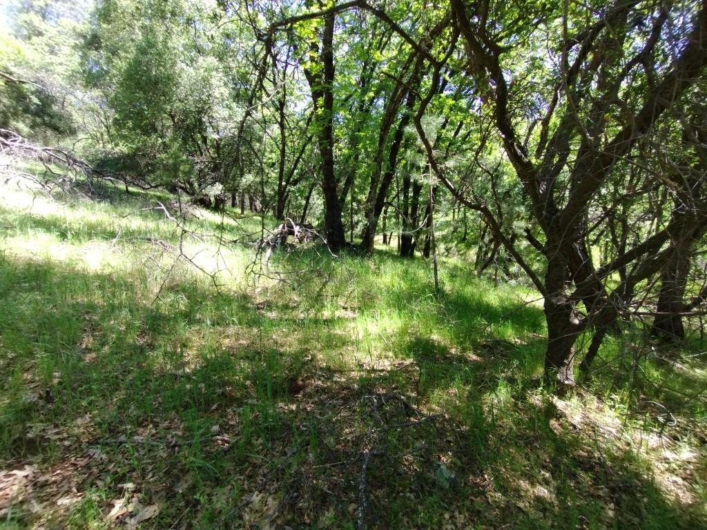 Wolf Creek Road, Grass Valley, California image 12