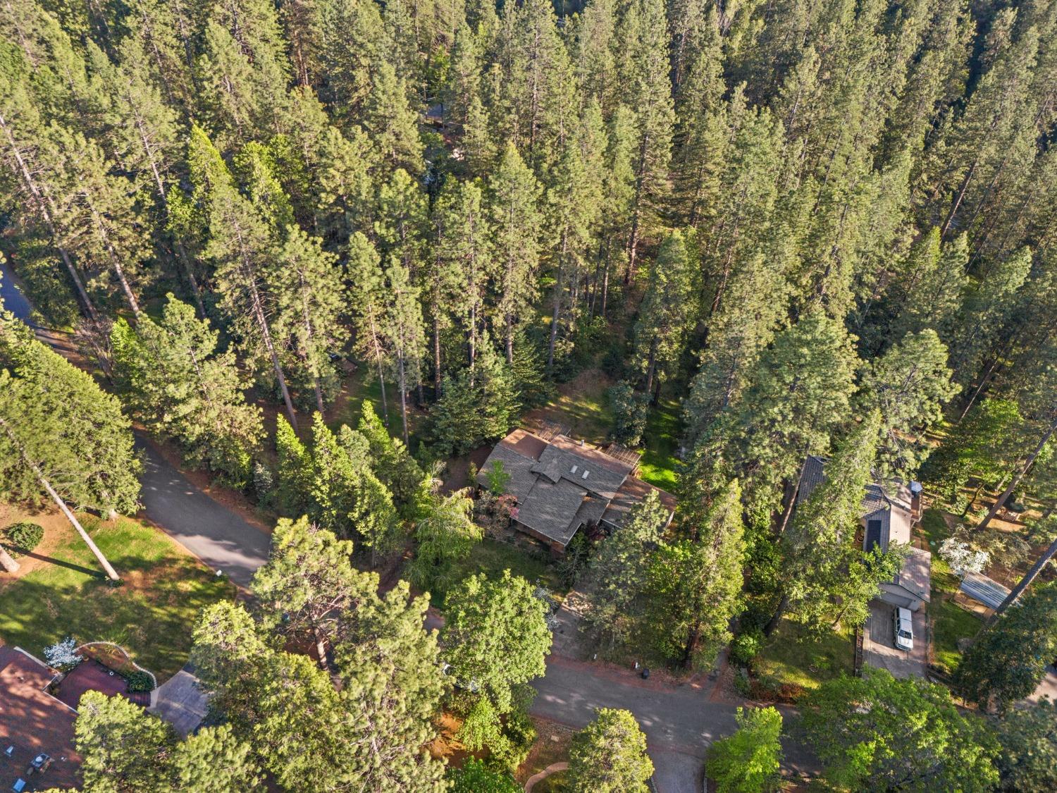 Terrace Pines Court, Grass Valley, California image 35