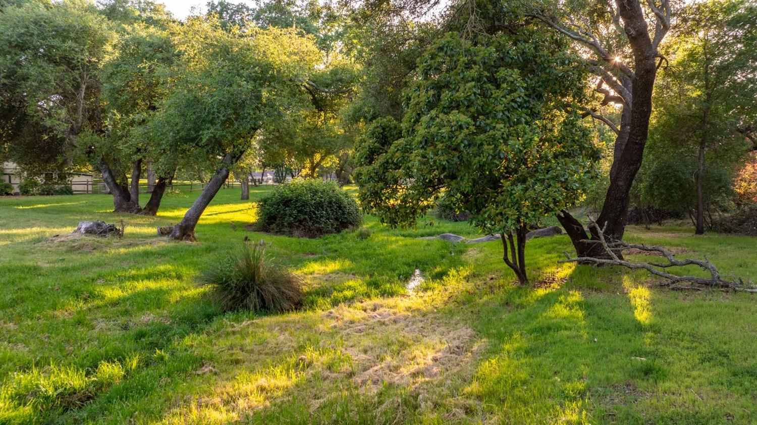 Fox Meadow, Granite Bay, California image 4