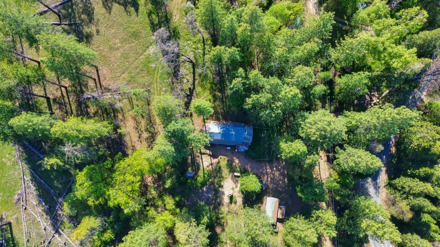 Grizzly Flat Road, Somerset, California image 16