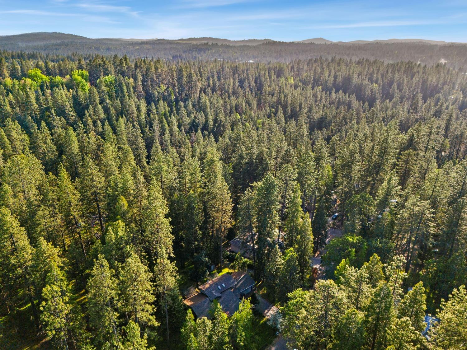 Terrace Pines Court, Grass Valley, California image 32