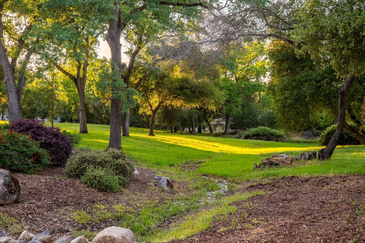 Fox Meadow, Granite Bay, California image 10