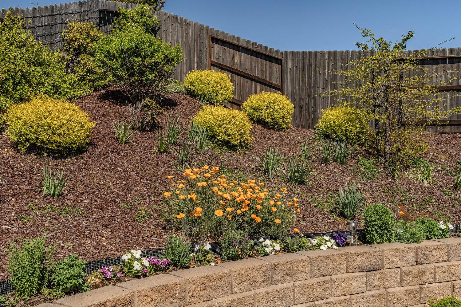 Detail Gallery Image 8 of 82 For 127 Emerald Ln, Jackson,  CA 95642 - 3 Beds | 2 Baths