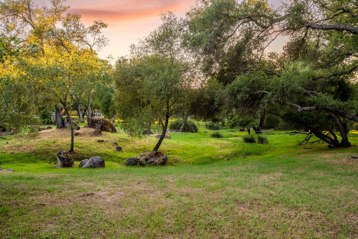 Fox Meadow, Granite Bay, California image 9