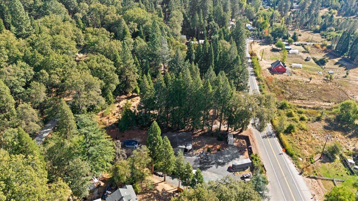 Colfax Highway, Grass Valley, California image 32