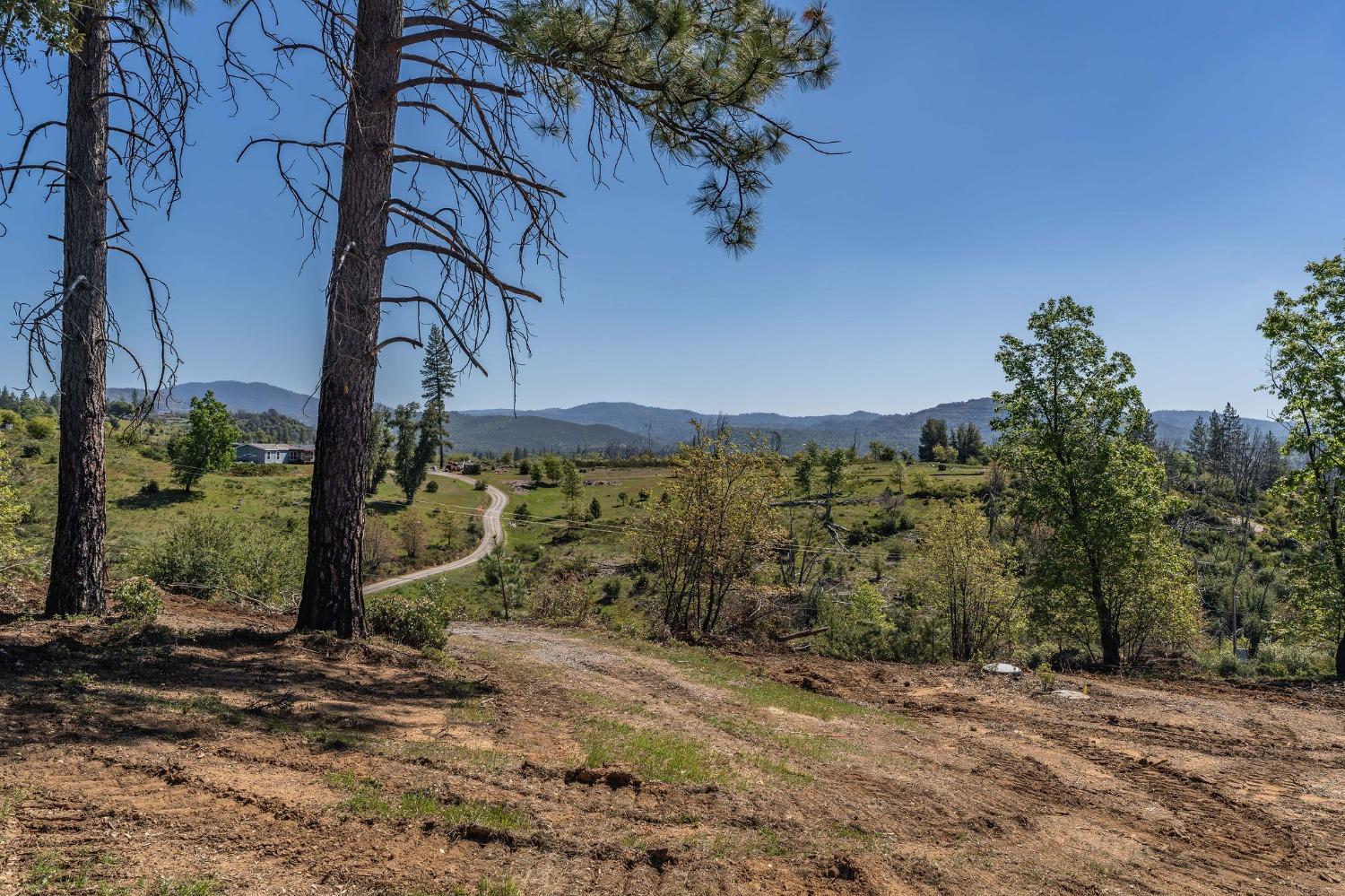 Old Emigrant Trail, Mountain Ranch, California image 1