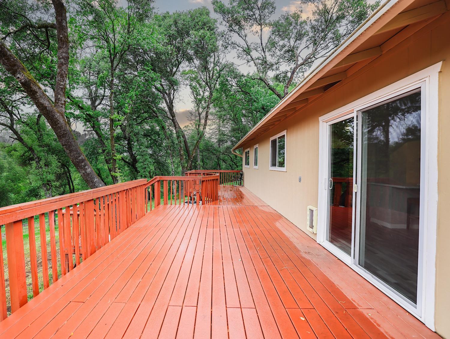 Helen Lane, Auburn, California image 27