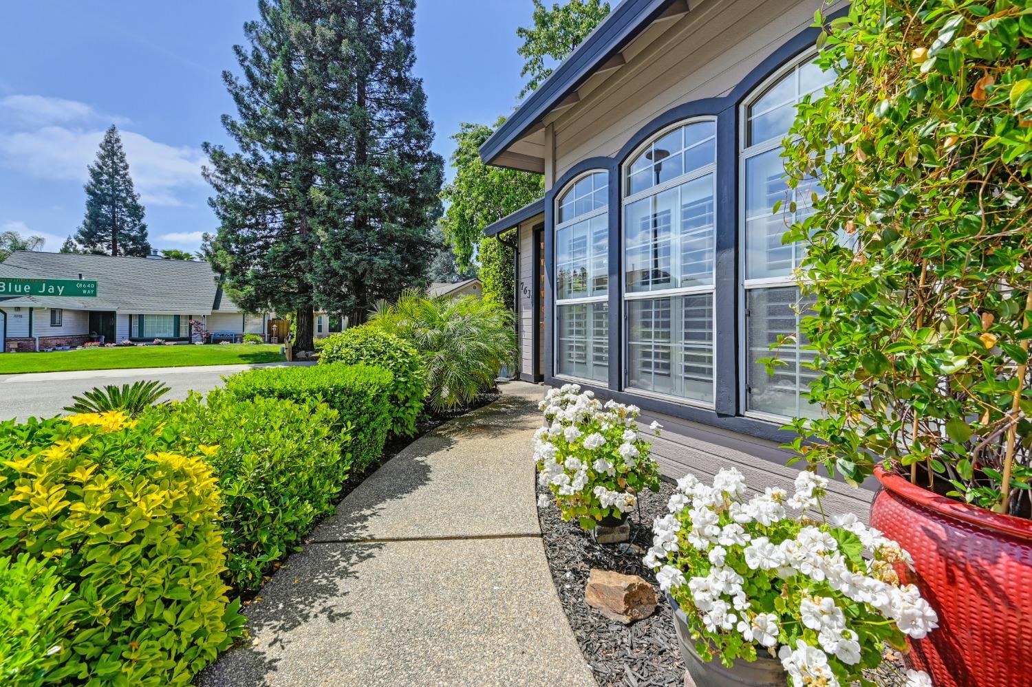 Brookover Court, Citrus Heights, California image 5
