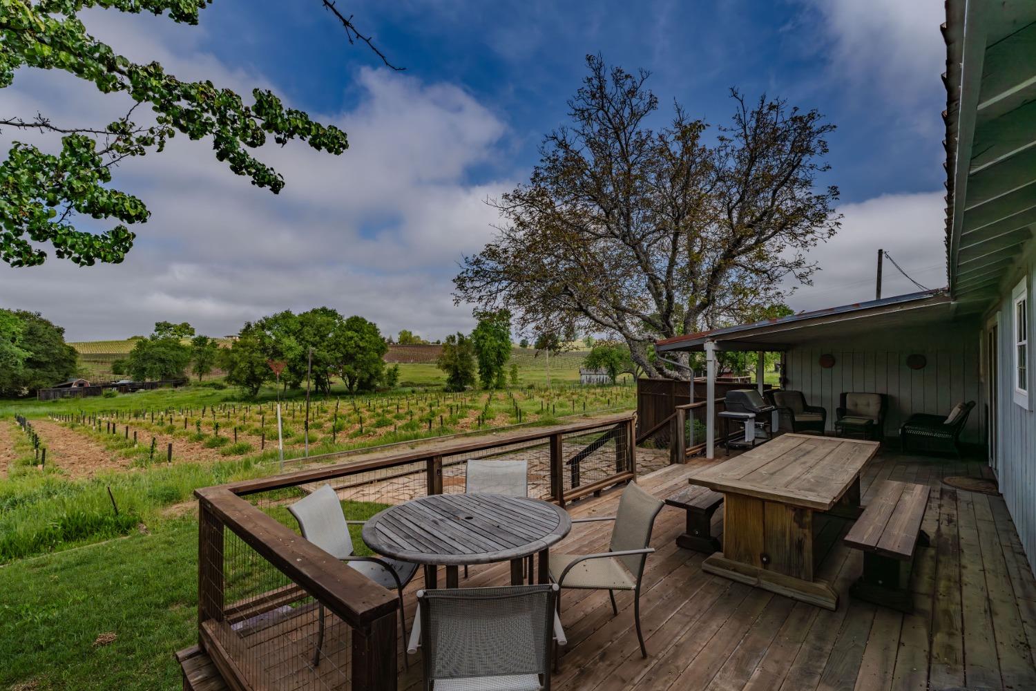 Shenandoah Road, Plymouth, California image 31