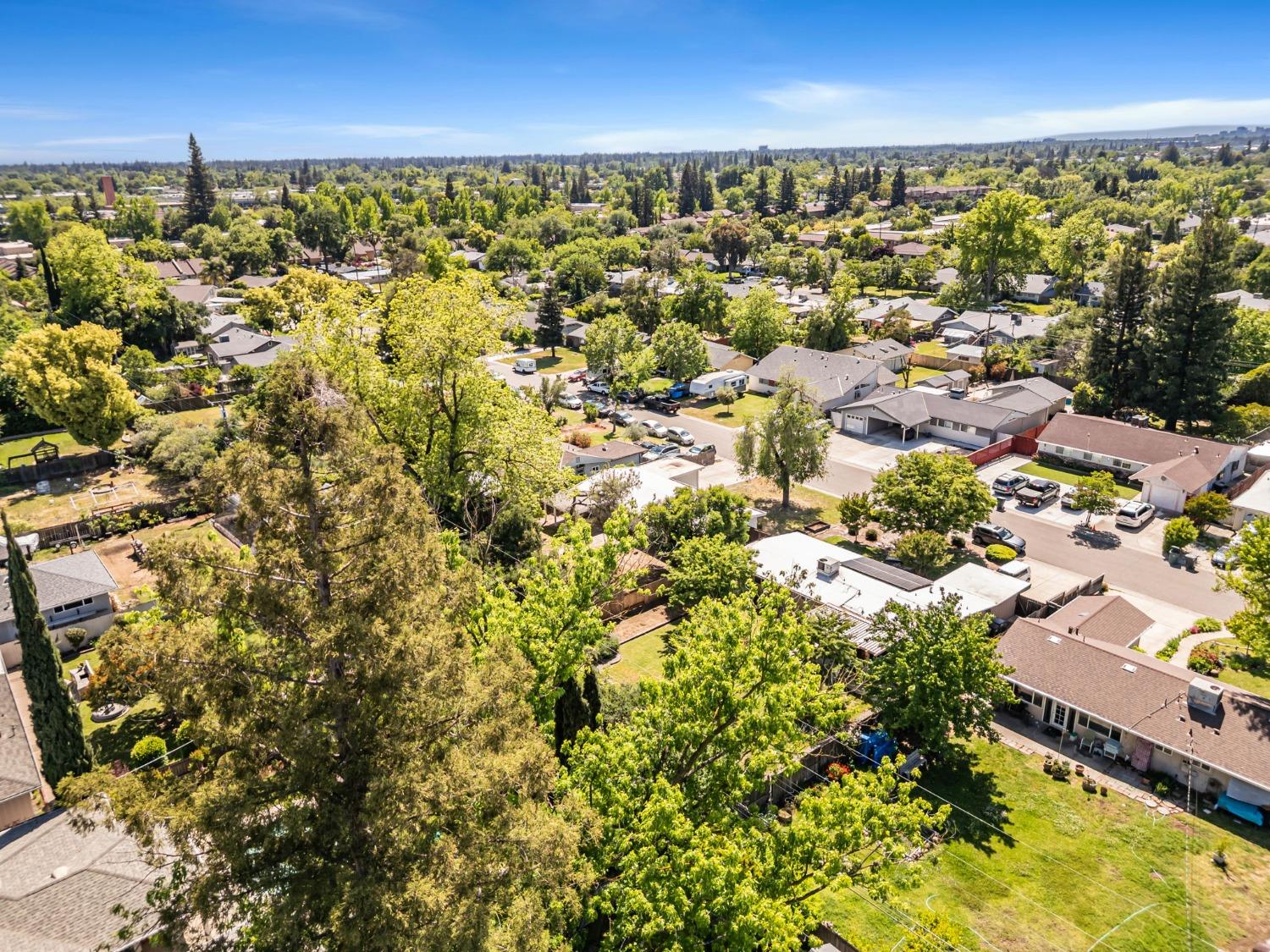 Terrace Drive, Sacramento, California image 46