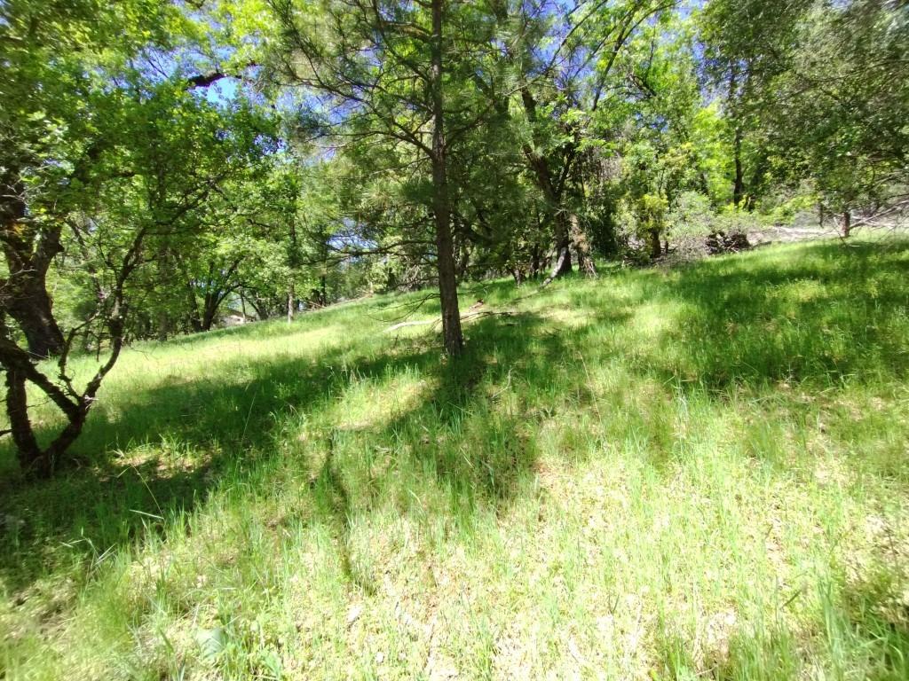 Wolf Creek Road, Grass Valley, California image 7