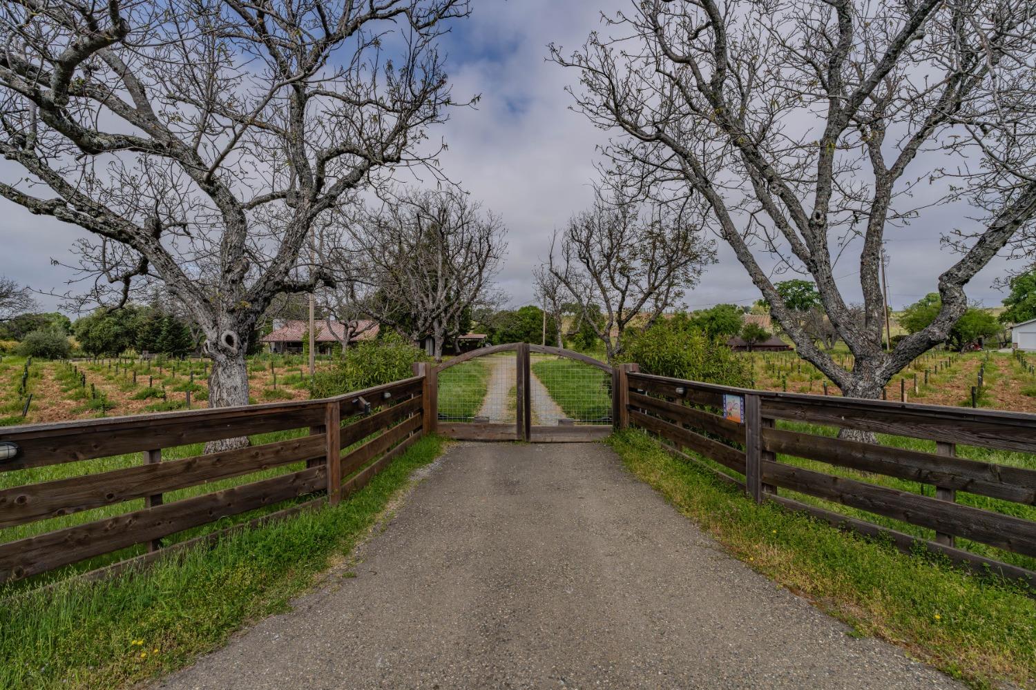 Shenandoah Road, Plymouth, California image 44