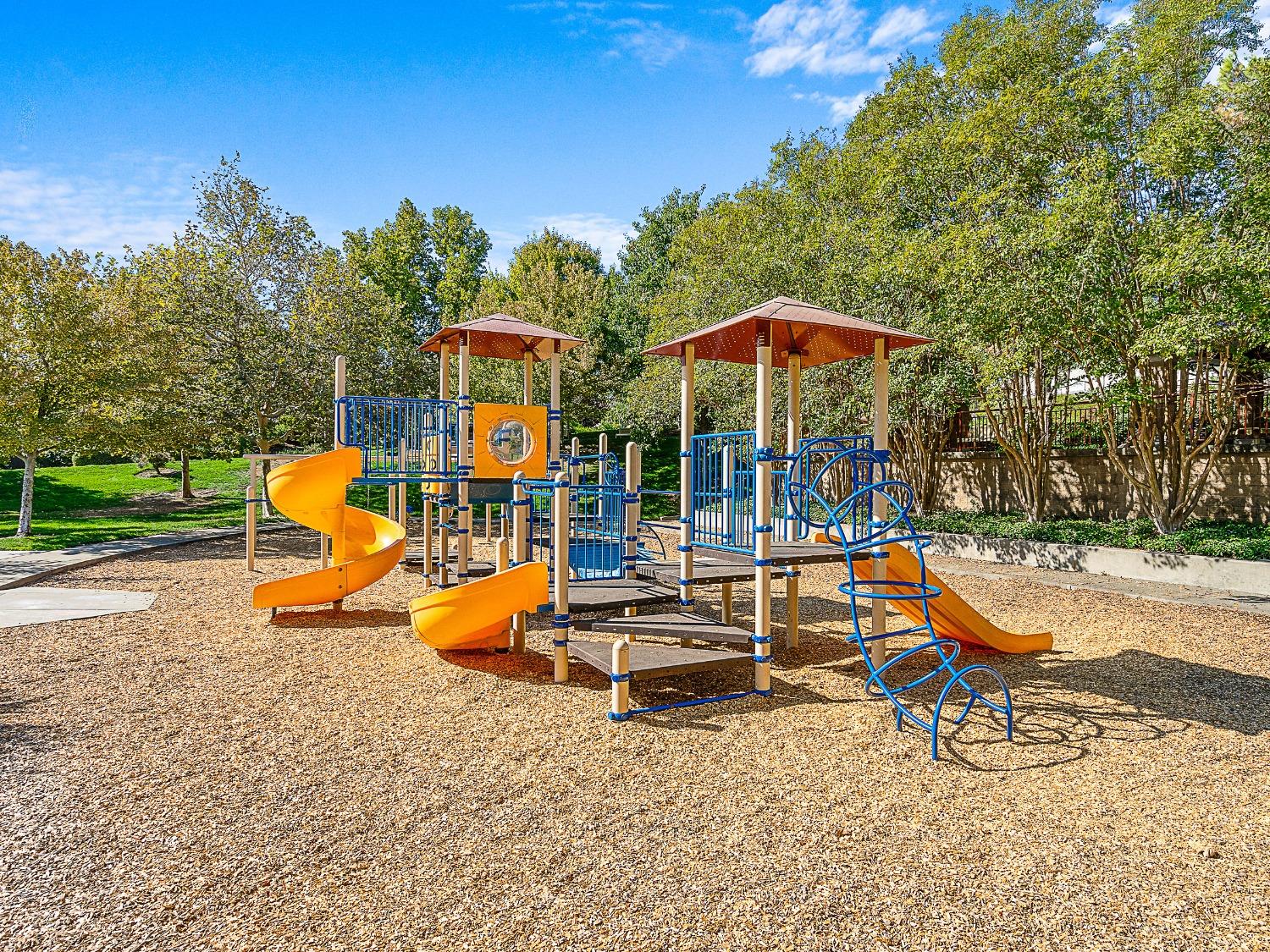Knapp Court, El Dorado Hills, California image 47