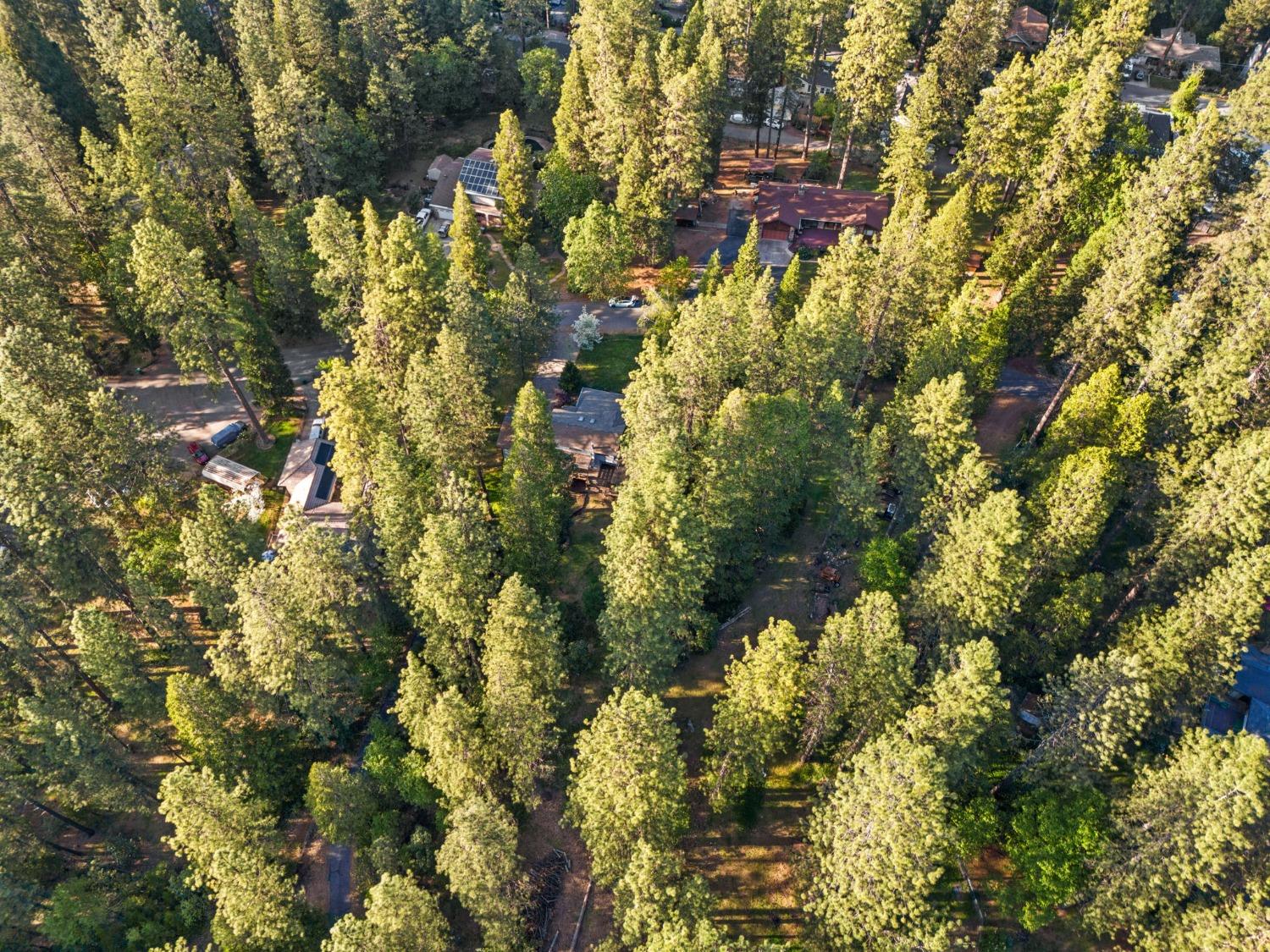 Terrace Pines Court, Grass Valley, California image 37