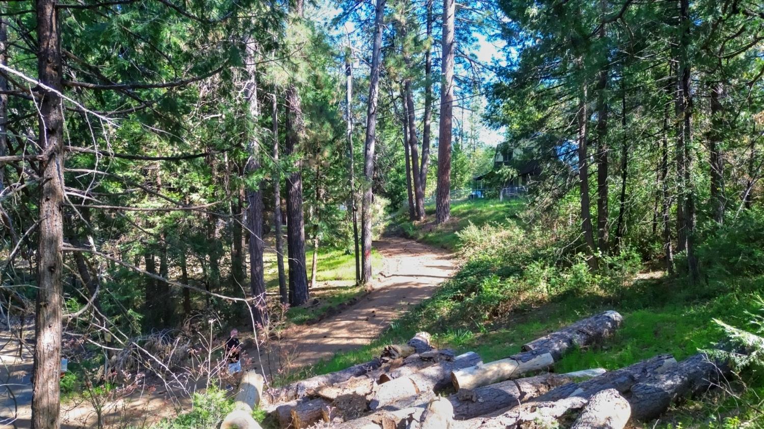 Grizzly Flat Road, Somerset, California image 28