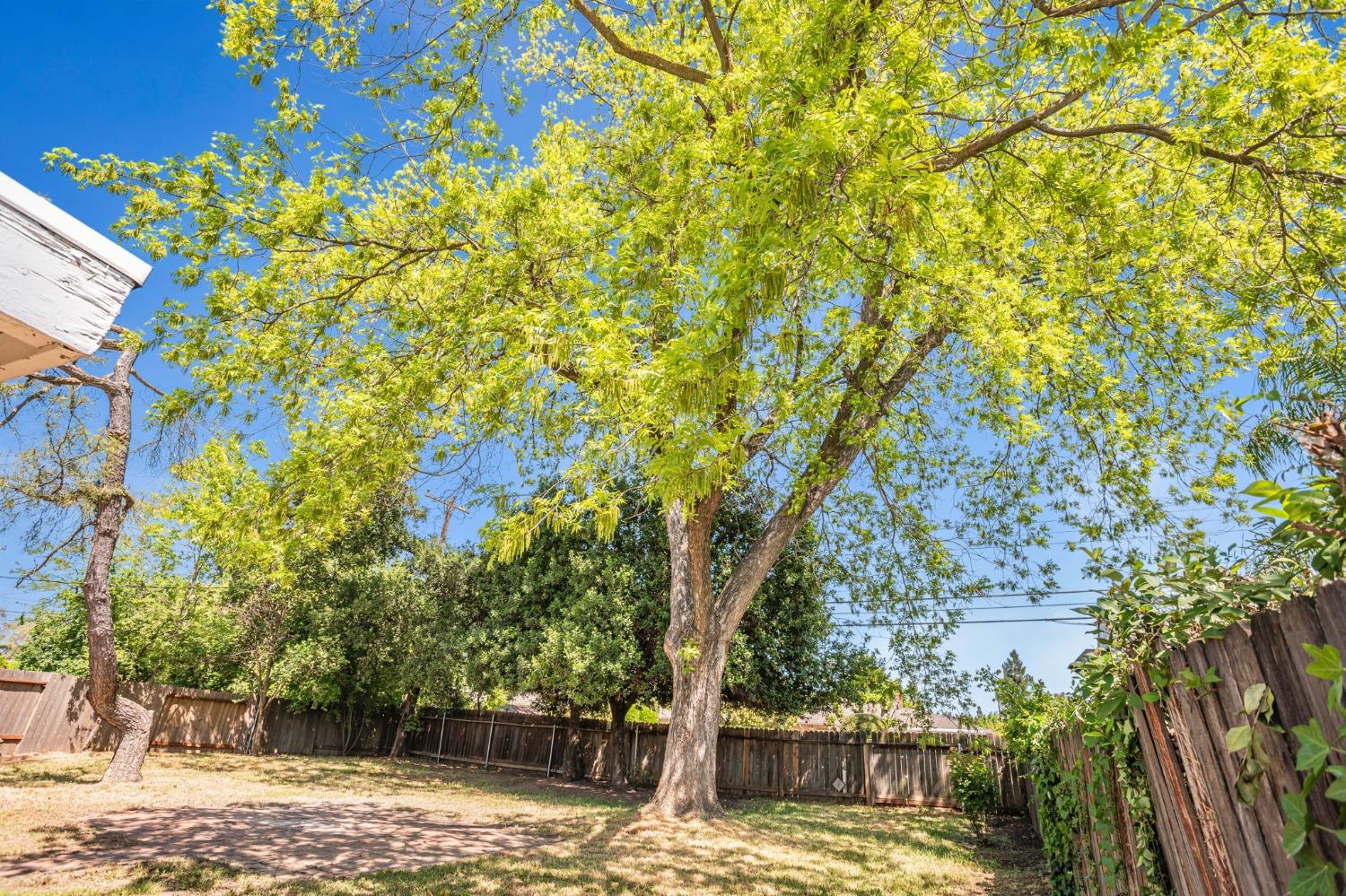 Terrace Drive, Sacramento, California image 9