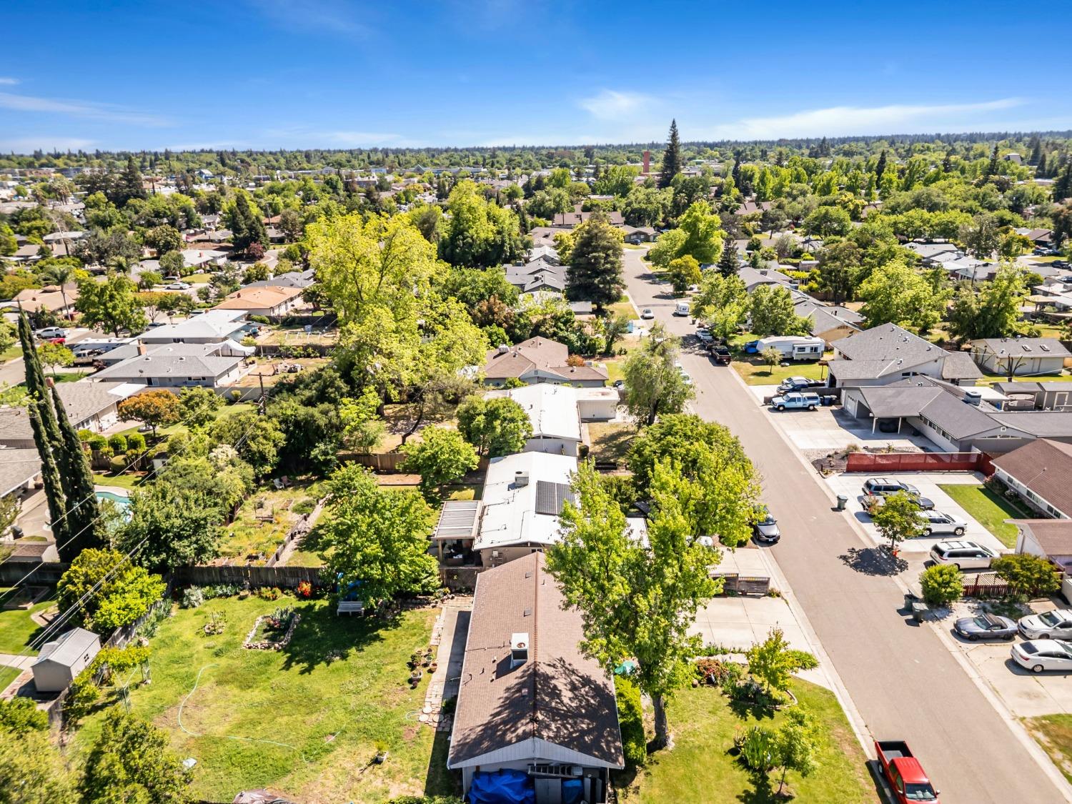Terrace Drive, Sacramento, California image 49