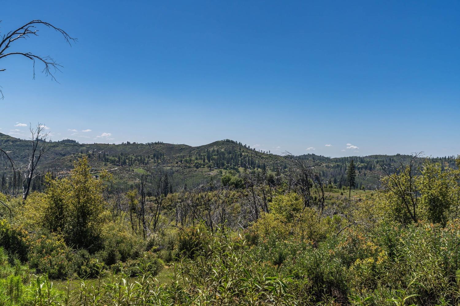 Old Emigrant Trail, Mountain Ranch, California image 10