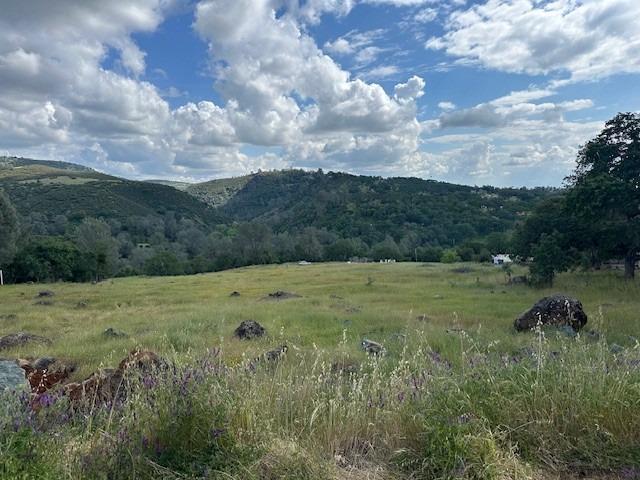 Cane Lane, Valley Springs, California image 1