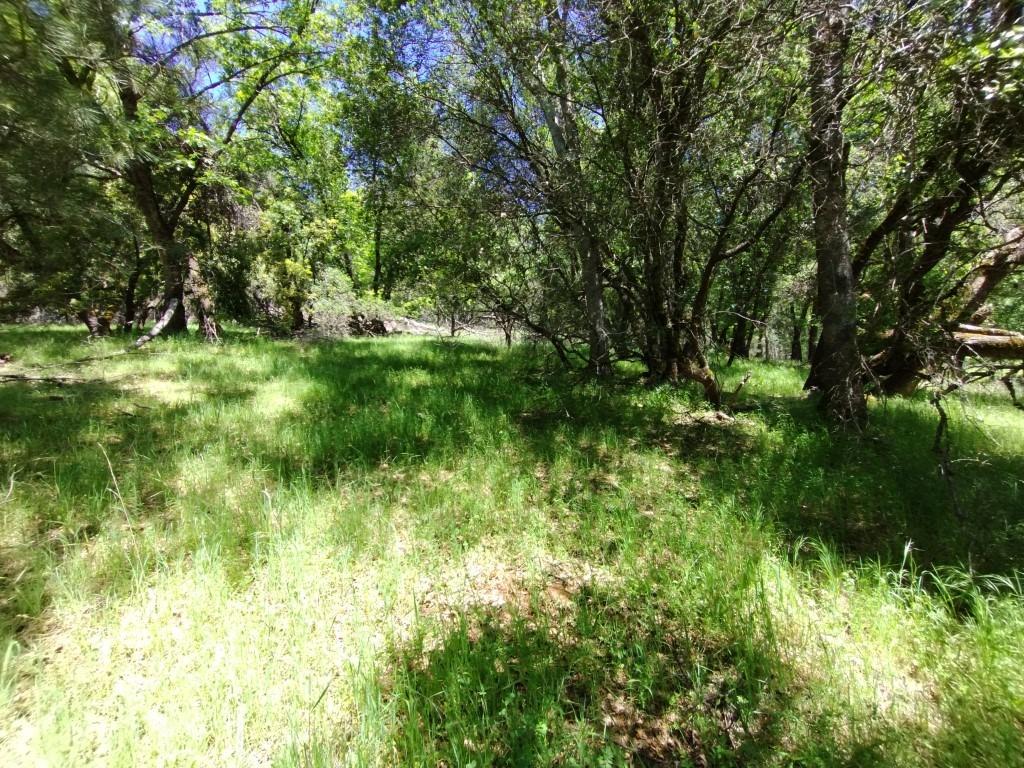 Wolf Creek Road, Grass Valley, California image 6