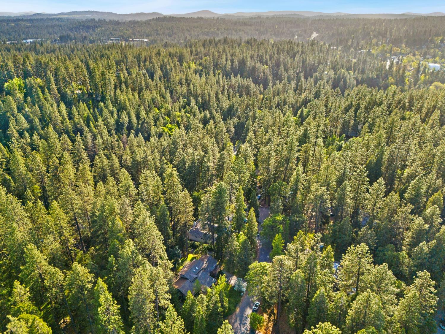 Terrace Pines Court, Grass Valley, California image 39
