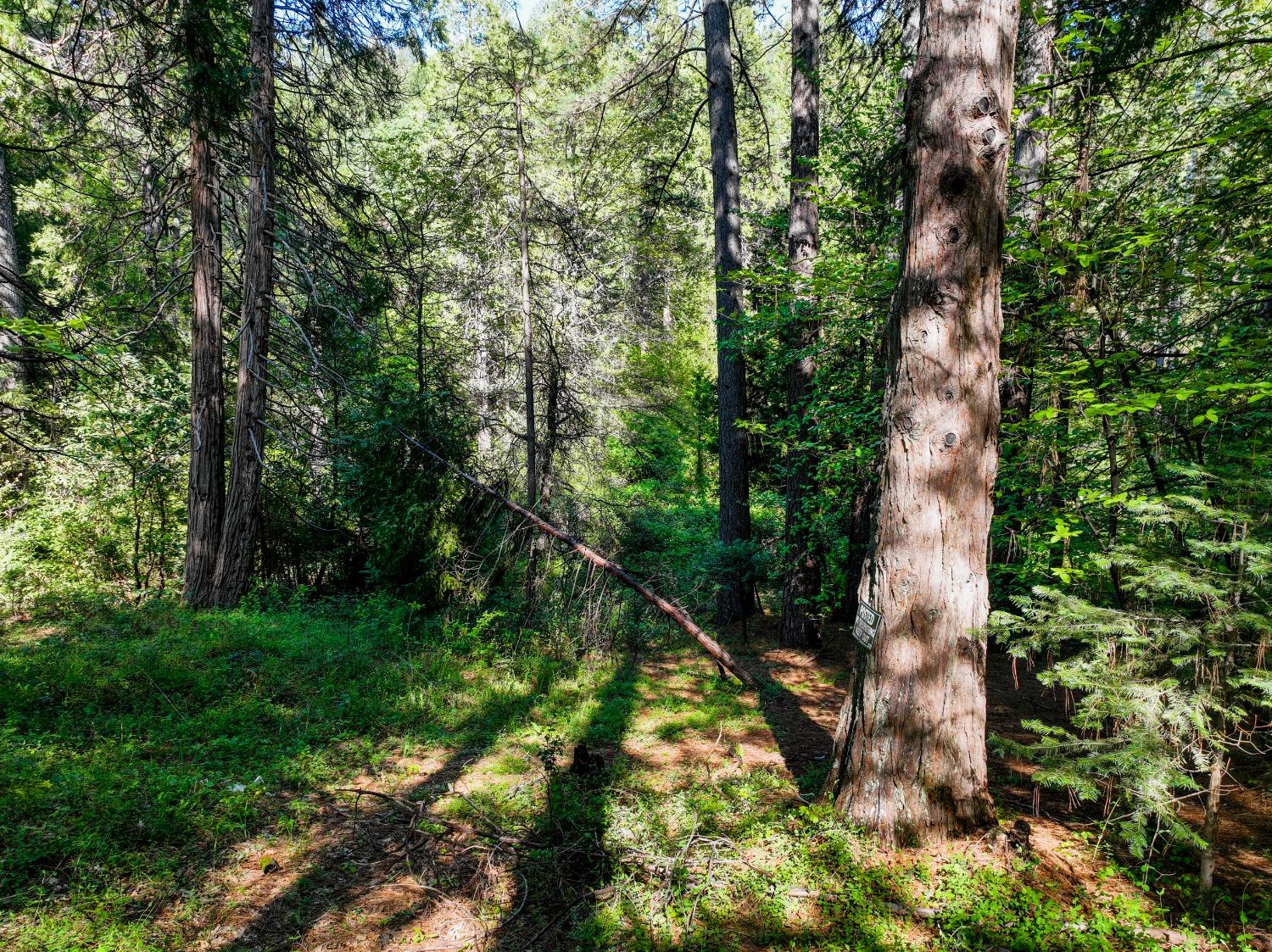 Shady Lane Drive, Morgan Hill, California image 19