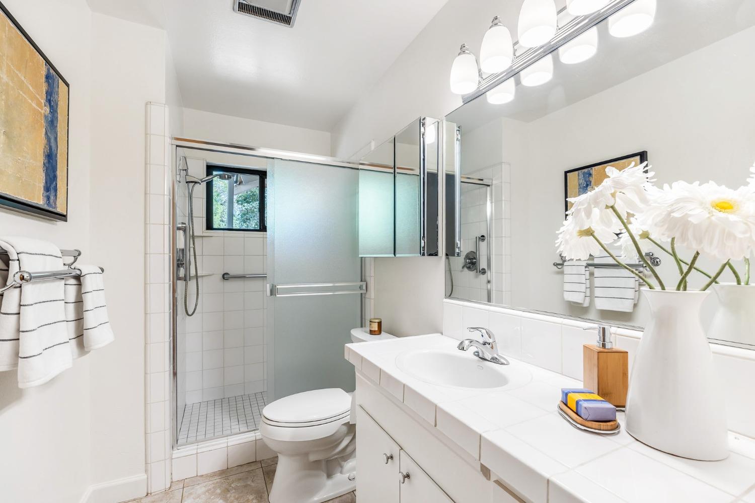 Meadowbrook Drive, Davis, California image 32