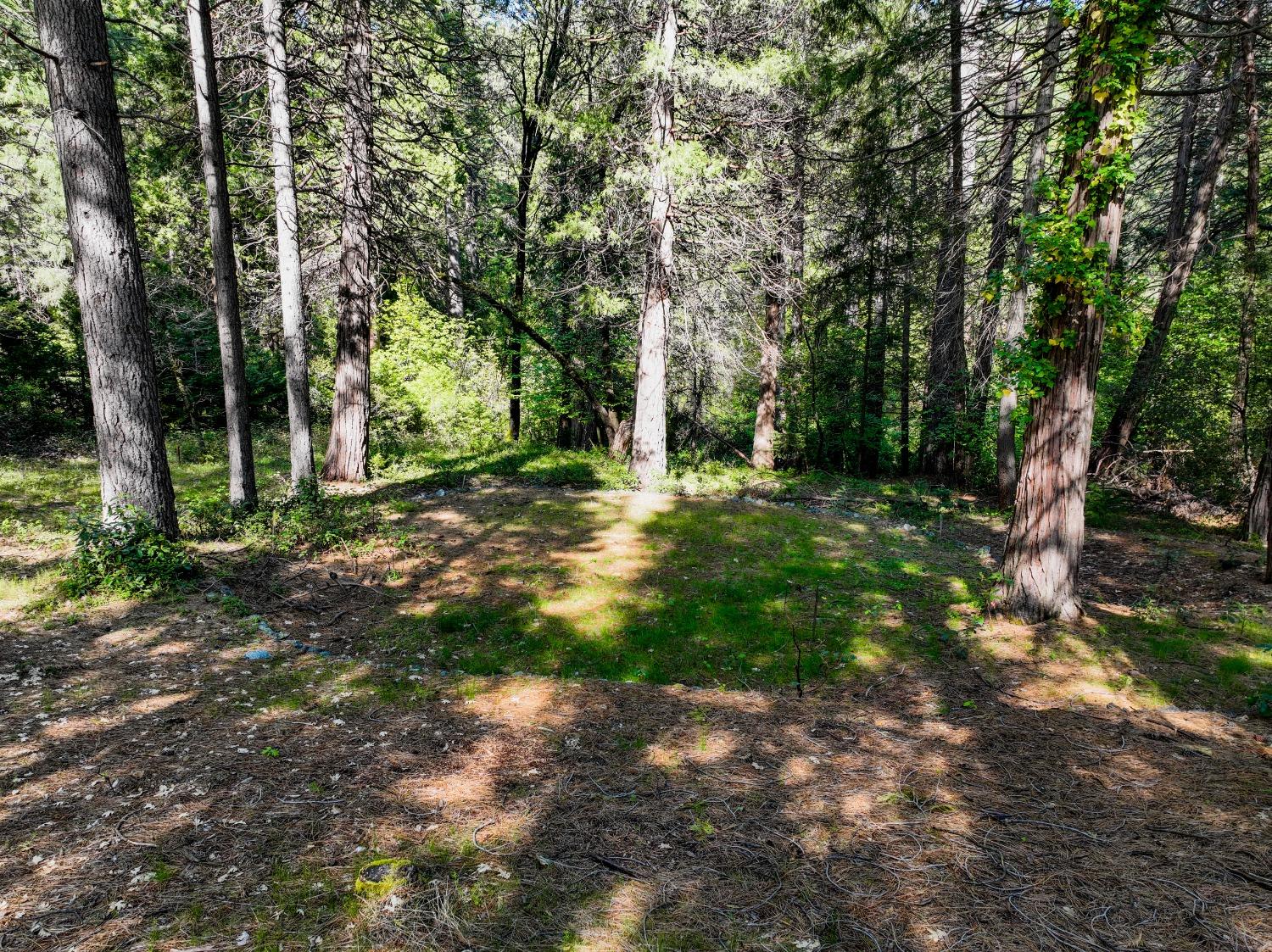 Shady Lane Drive, Morgan Hill, California image 9