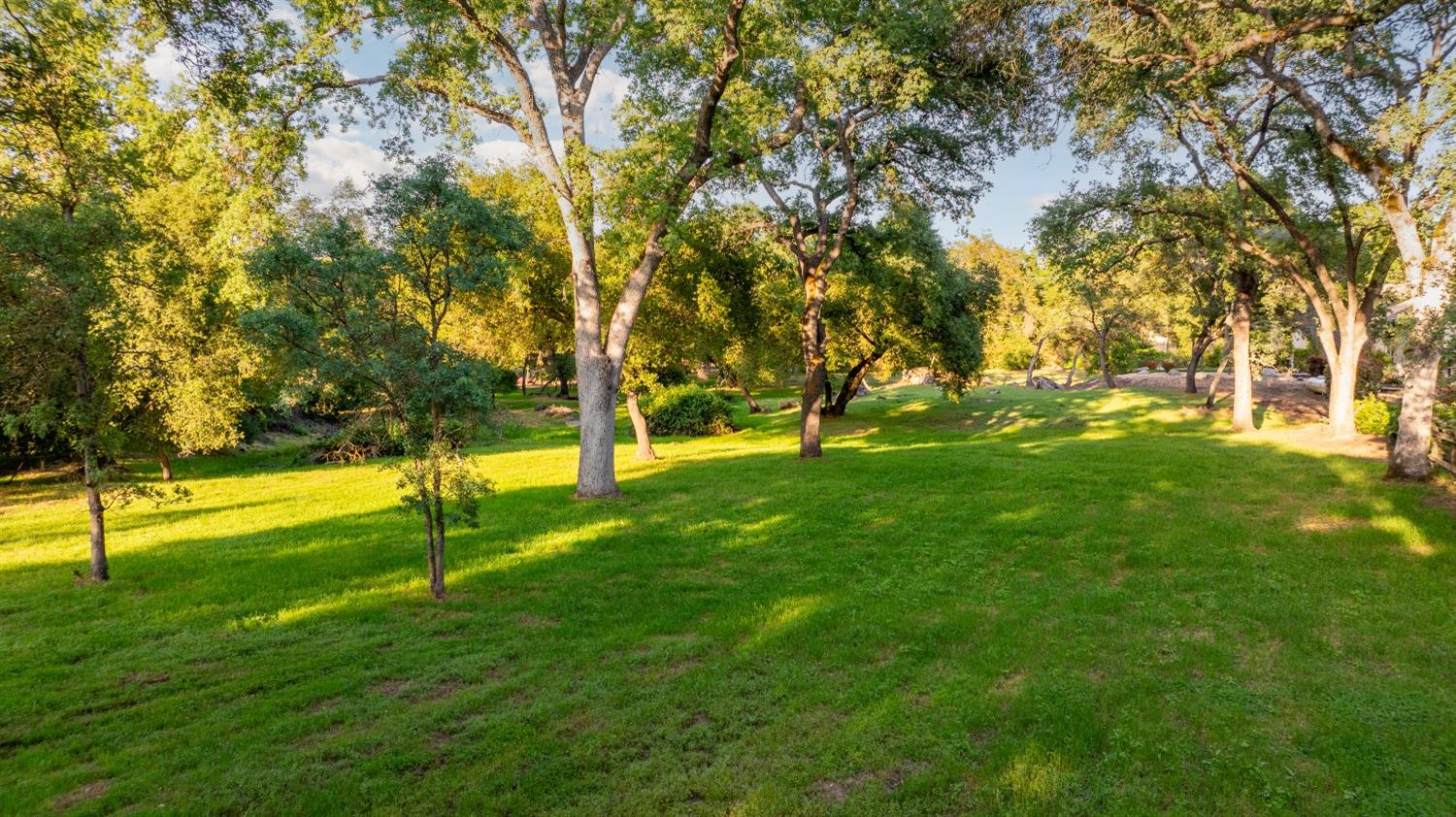 Fox Meadow, Granite Bay, California image 6