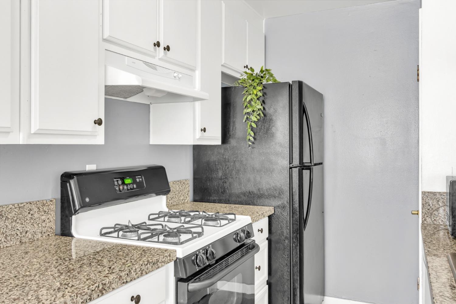 Bremen Drive #3, Citrus Heights, California image 16