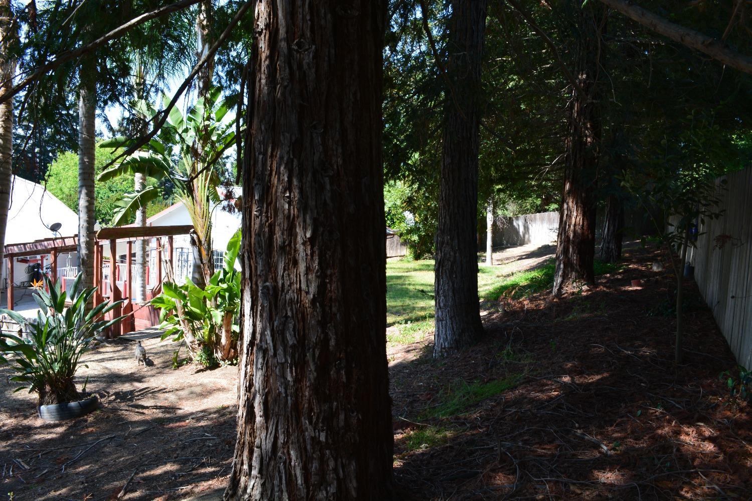 Detail Gallery Image 33 of 74 For 13521 Yosemite Blvd, Waterford,  CA 95386 - 3 Beds | 2 Baths