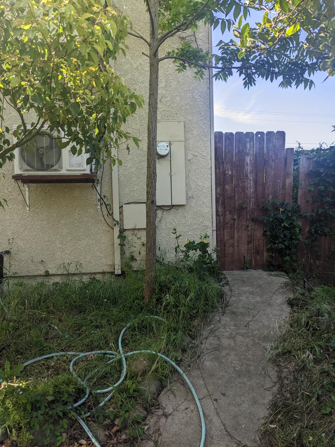 E Marie Ann Lane, Carmichael, California image 8