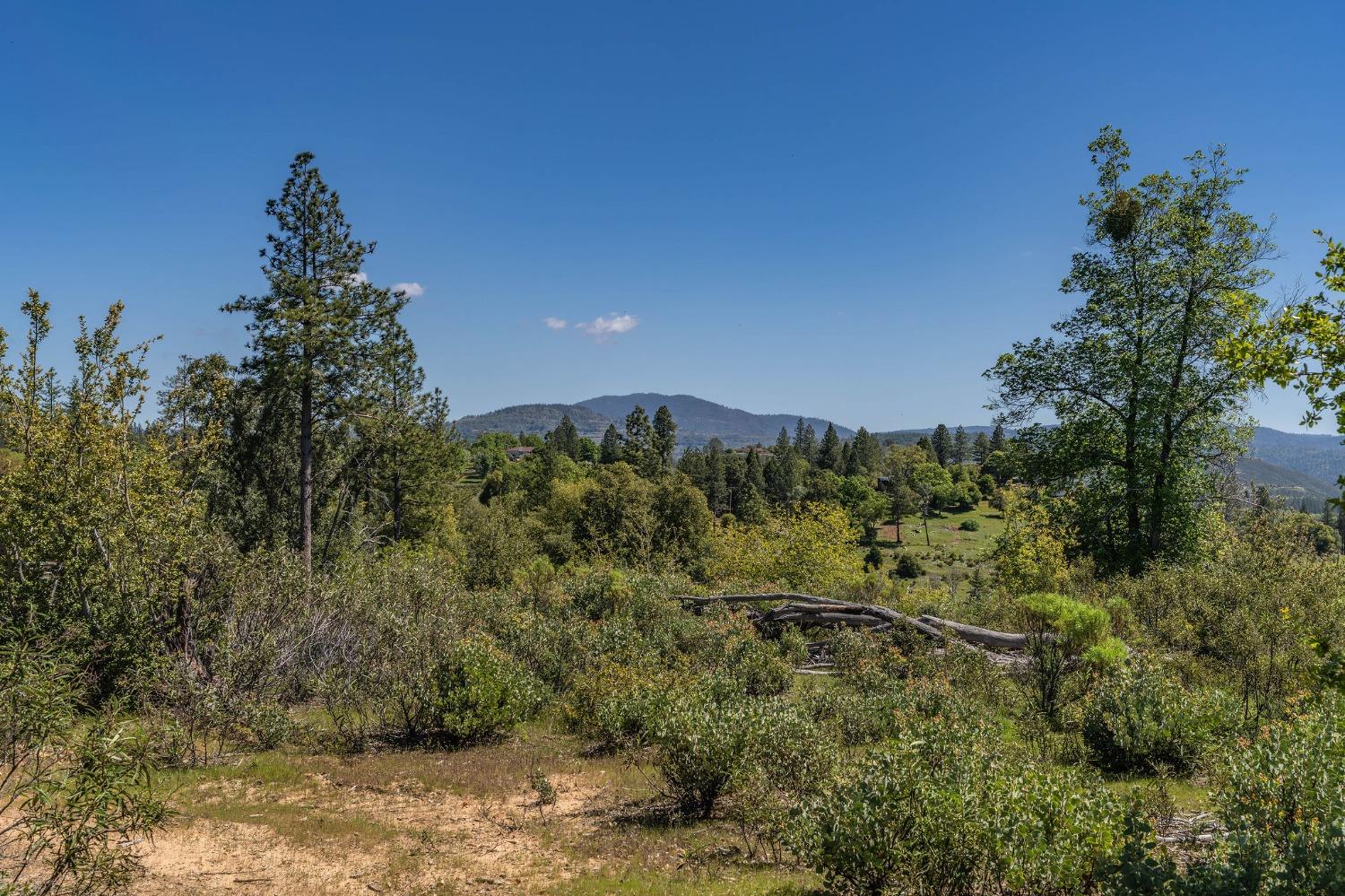 Old Emigrant Trail, Mountain Ranch, California image 13