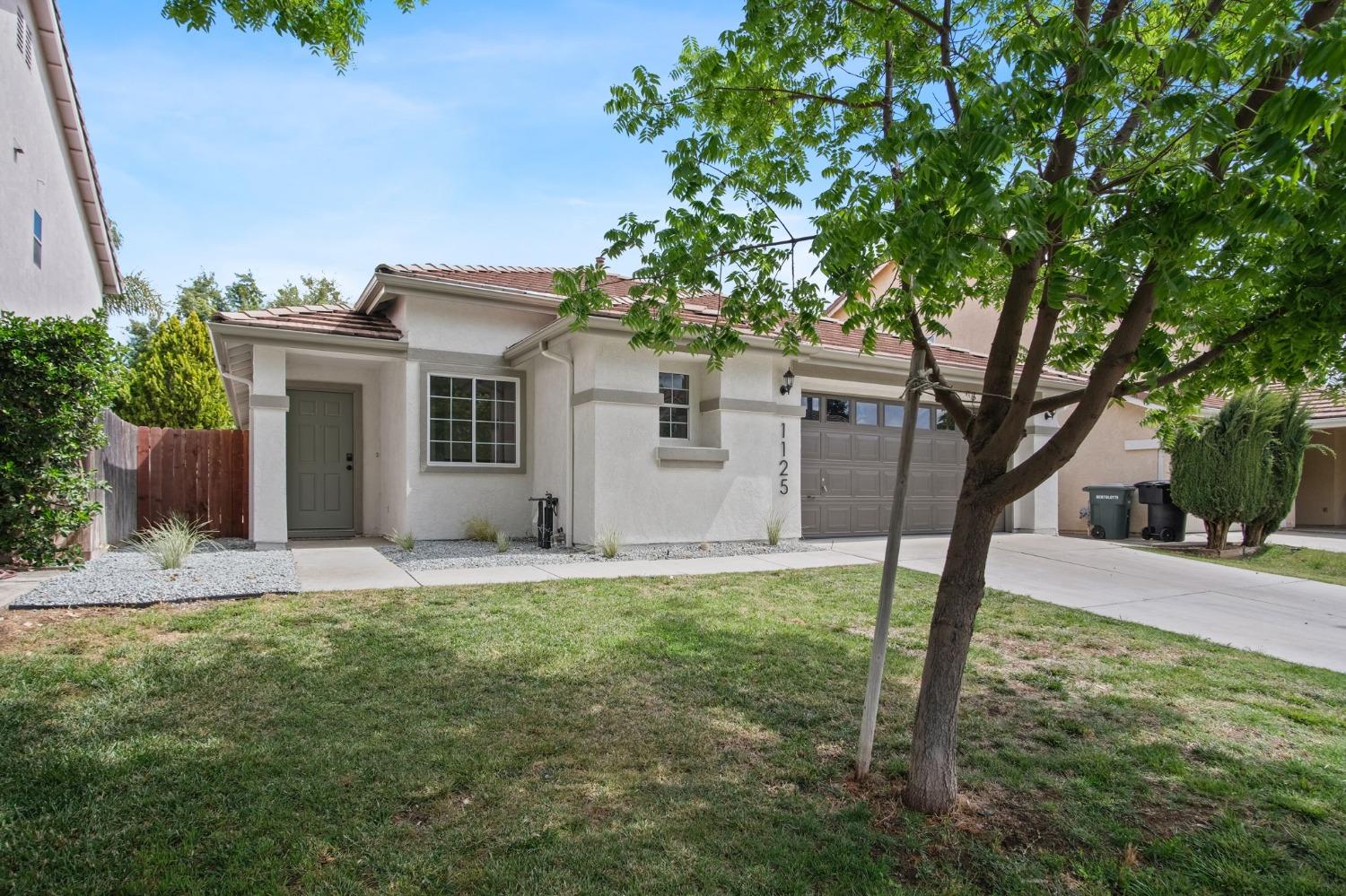 Tern Way, Patterson, California image 26