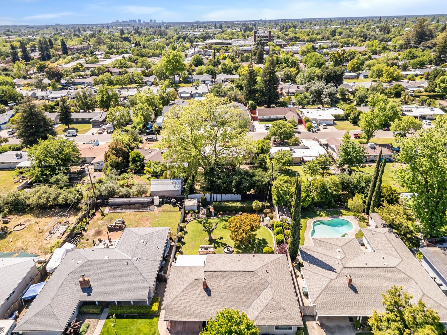 Terrace Drive, Sacramento, California image 43