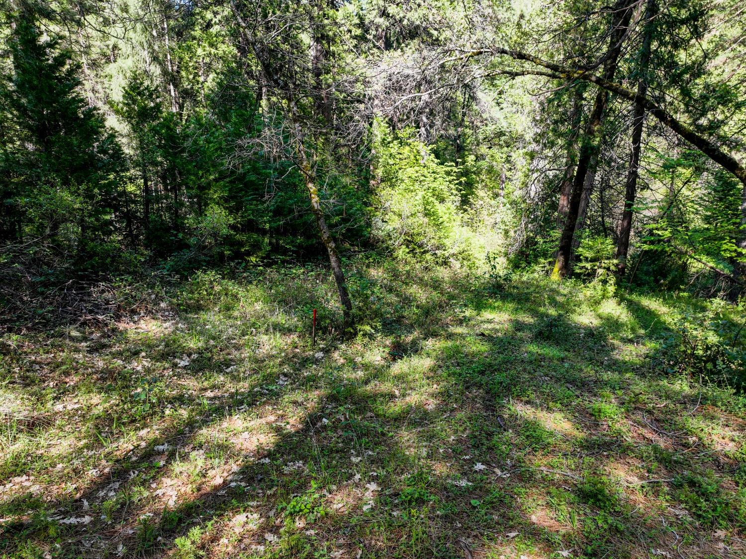 Shady Lane Drive, Morgan Hill, California image 10