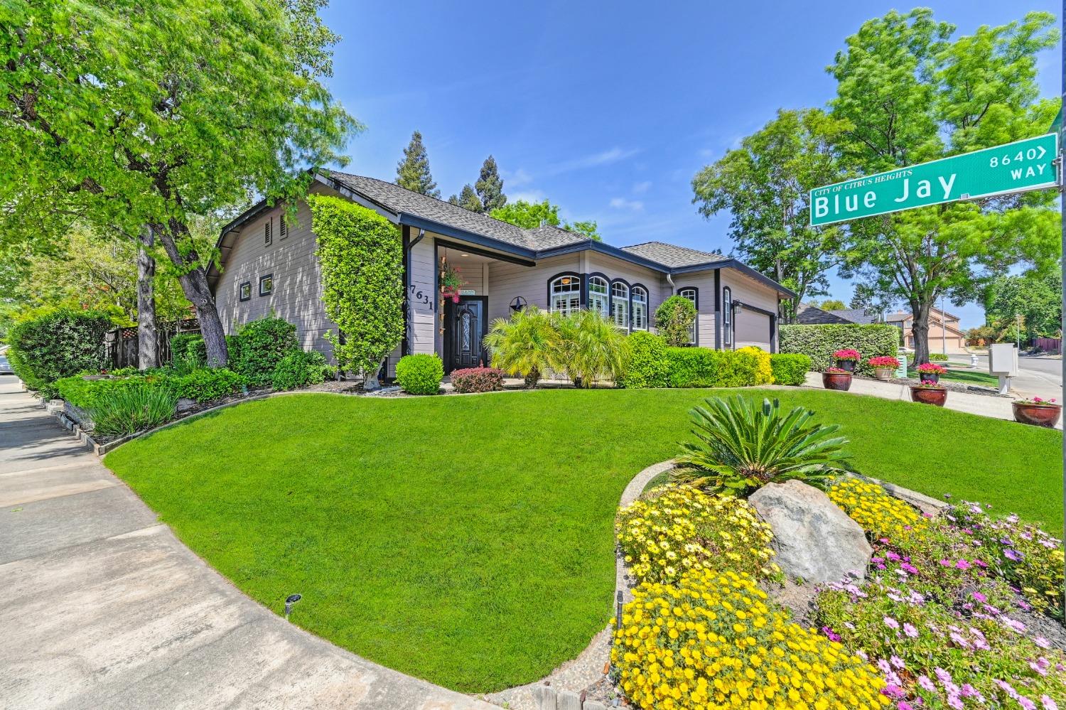 Brookover Court, Citrus Heights, California image 1