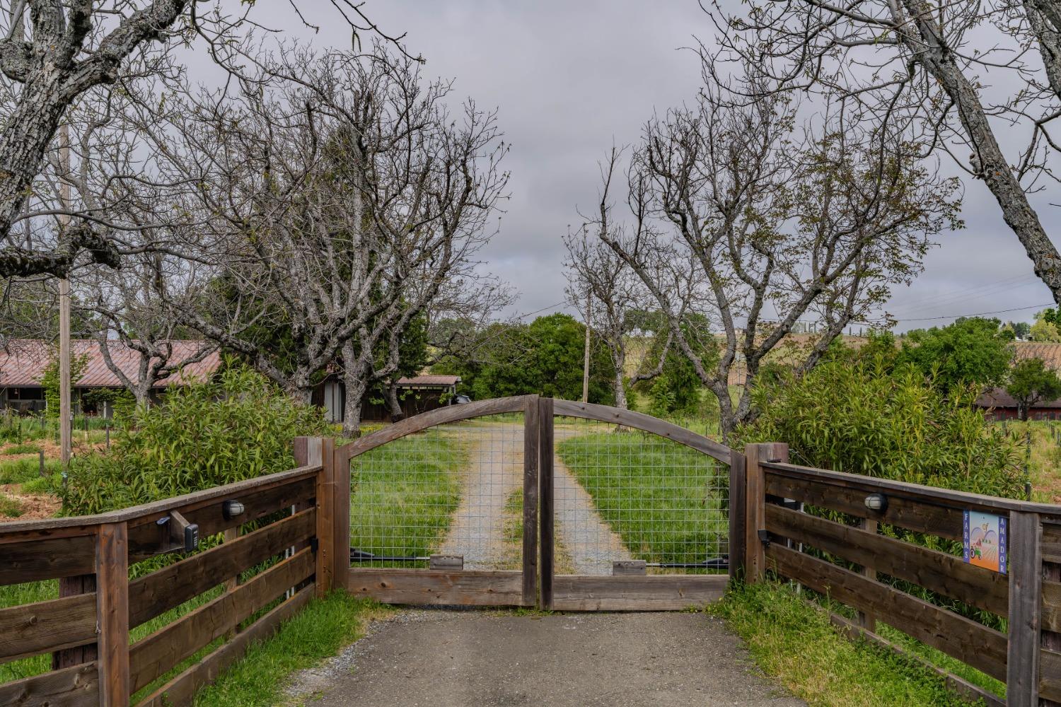 Shenandoah Road, Plymouth, California image 45